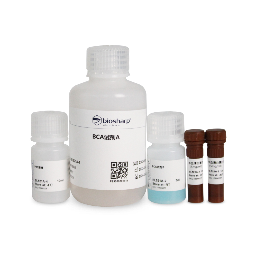 Biosharp白鲨 BCA蛋白浓度测定试剂盒 500T BL521A 免费开票 - 图1
