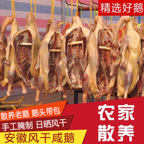 Anhui Wan West Salty Goose Farmhouse Flavor Special Production Air-dry Old Goose Loose Goose 6 Catty And All The Anhui Six Antic Produce