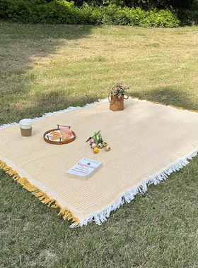 野餐垫户外露营便携户外草坪加厚ins风法式布桌音乐节公园沙滩垫