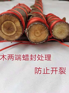 桃木野生原木手工东南老桃树枝制作桃木吉祥纳福乔迁门厅摆件挂件