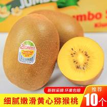 Yellow Heart Exotic Fruit Spot Non New Zealands Golden Goa Exotic Fruit Imports Fresh to Pregnant Women Fruits
