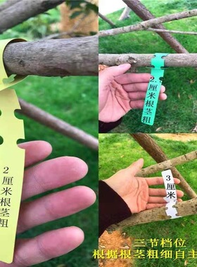 园艺标签环扣环套植物园艺标签果树花卉月季吊牌标记牌农业苗木