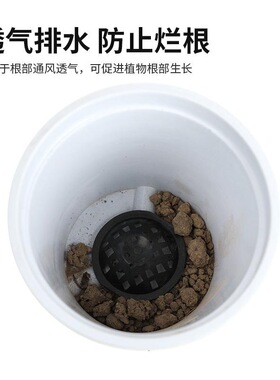 孔垫园艺花盆垫底漏网底垫垫片透气锥形防漏土排水防烂根多肉花盆