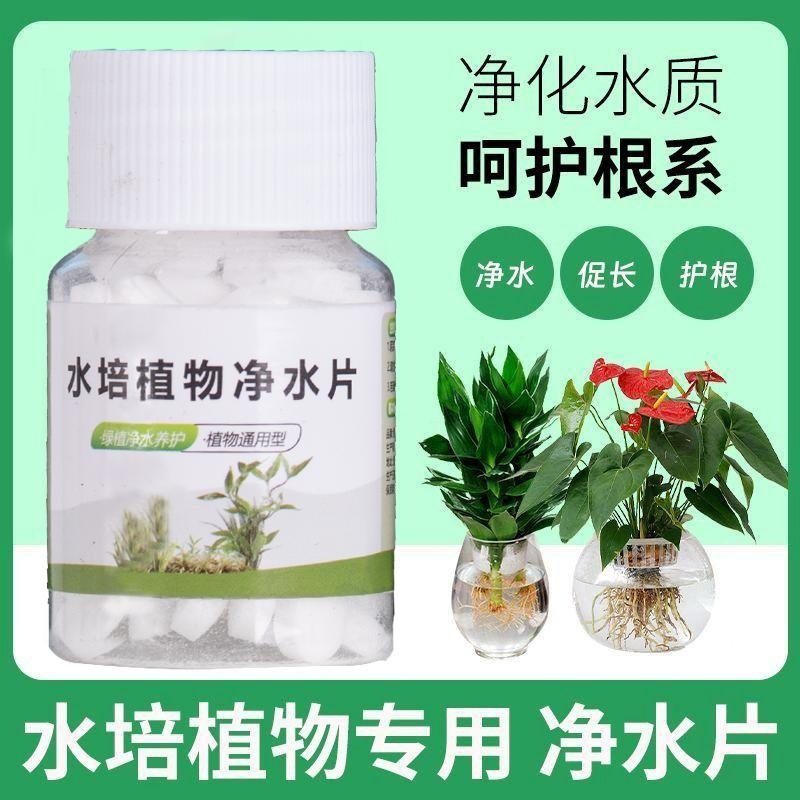 除臭消毒水培净水剂呵护根系不臭水水培植物净水片杀菌去腥,淘宝优惠券,粉丝福利购,淘宝优惠卷