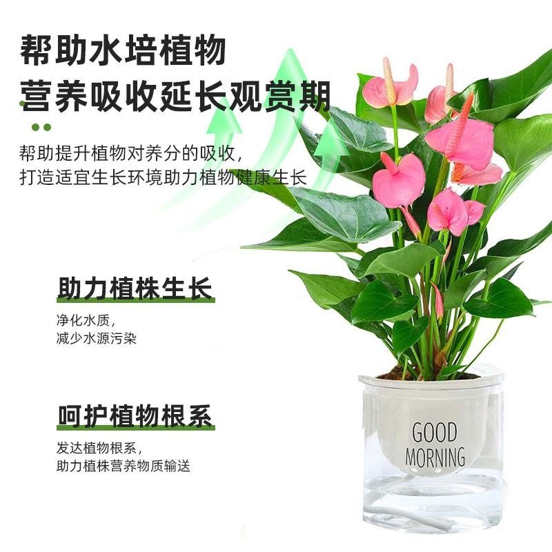 除臭消毒水培净水剂呵护根系不臭水水培植物净水片杀菌去腥,淘宝优惠券,粉丝福利购,淘宝优惠卷