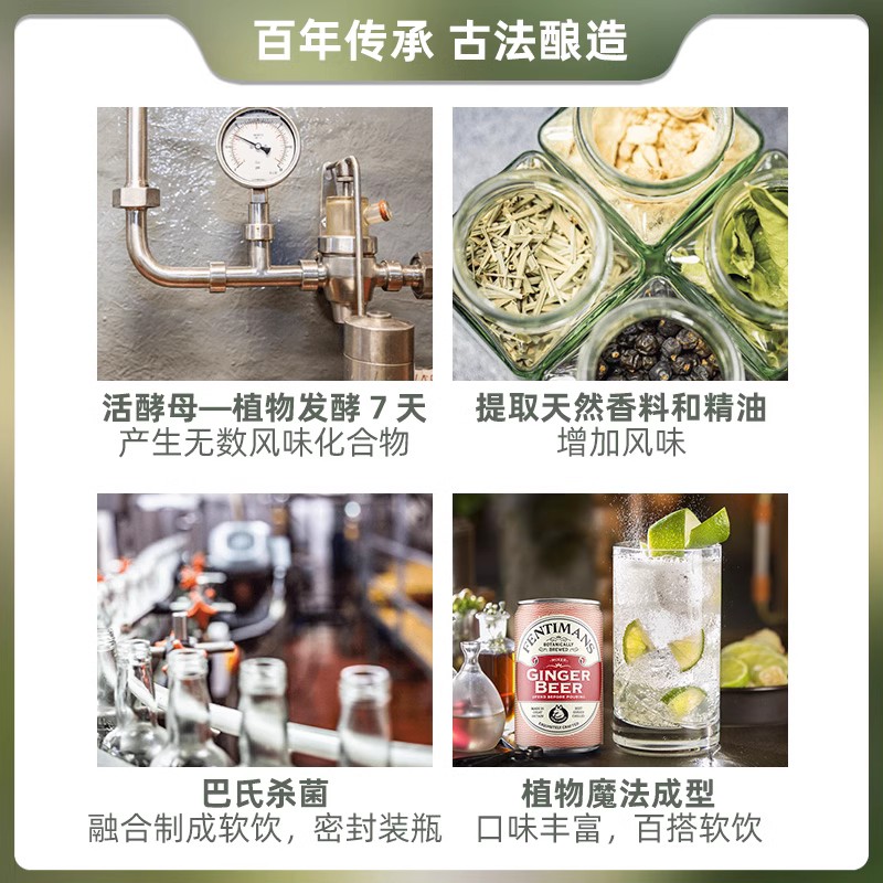 Fentimans芬迪蔓进口姜汁啤酒气泡水饮料整箱150ml*6迷你罐装