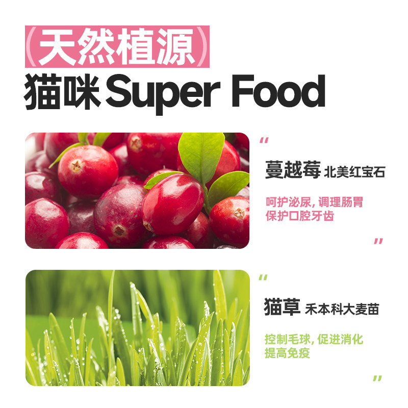 鲜粮说猫冻干零食鸡胸肉狗狗猫咪营养发腮磨牙洁齿鸡肉干,淘宝优惠券,粉丝福利购,淘宝优惠卷