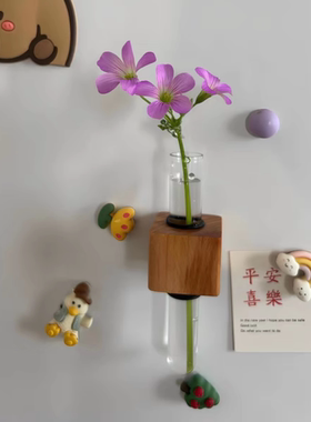 创意磁力贴水培植物花瓶