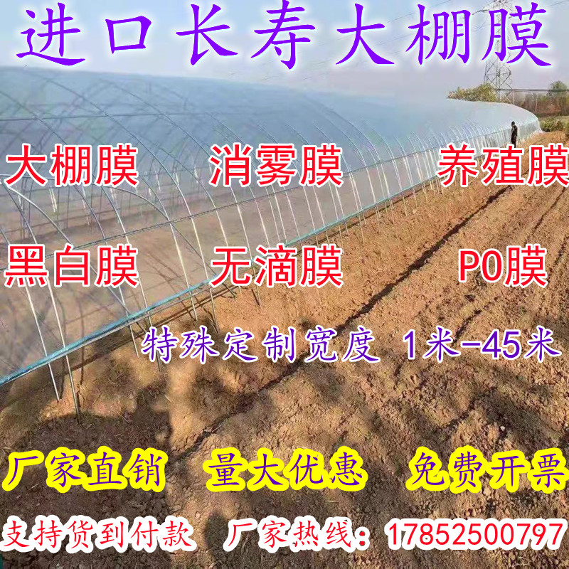加厚抗老化全新料长寿大棚膜无滴膜高透光PO膜养殖黑白膜塑料布