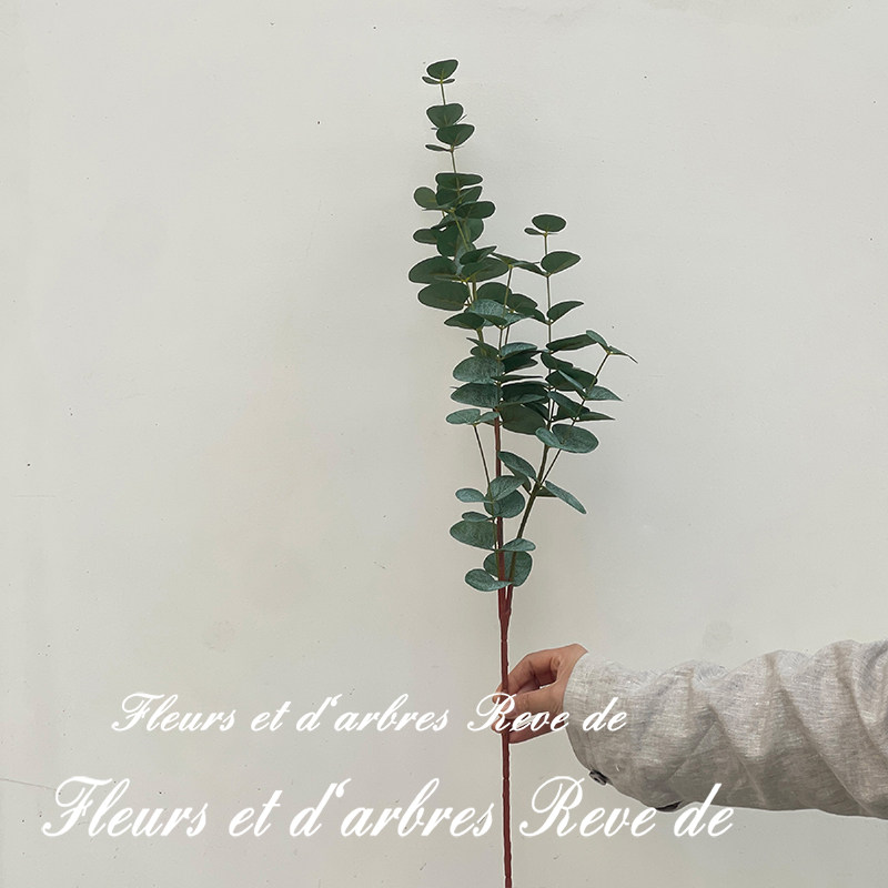 尤加利叶仿真花假花干花家居装饰摆件客厅餐桌花艺插花束拍摄道具,淘宝优惠券,粉丝福利购,淘宝优惠卷