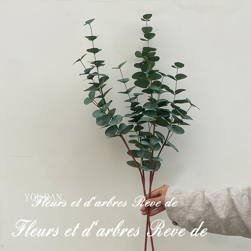 尤加利叶仿真花假花干花家居装饰摆件客厅餐桌花艺插花束拍摄道具,淘宝优惠券,粉丝福利购,淘宝优惠卷