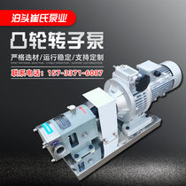 High Viscosity Rotor Pump Stainless Steel Cam Pumps Food Hygiene Grade Pasta Honey Syrup Jam Delivery Electric Pumps