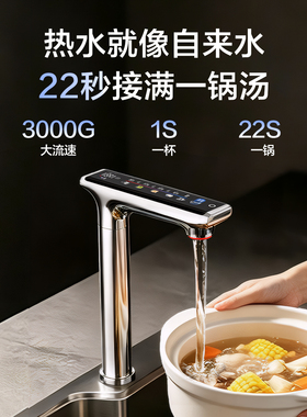 添可饮万净热王3000G大通量净水