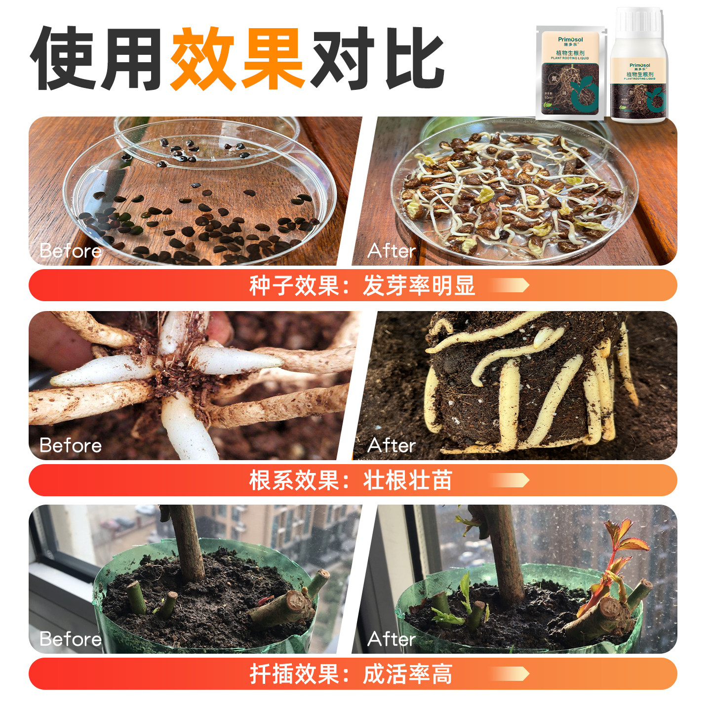 施多乐植物通用快速生根剂壮苗生根粉多肉月季水培扦插移栽生根水,淘宝优惠券,粉丝福利购,淘宝优惠卷