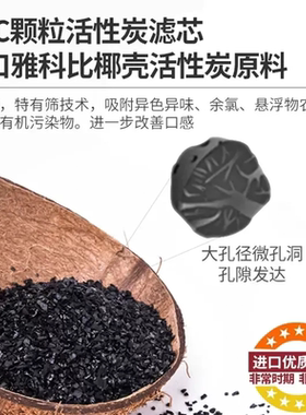 反渗透过滤器怡口活性炭吸附GAC