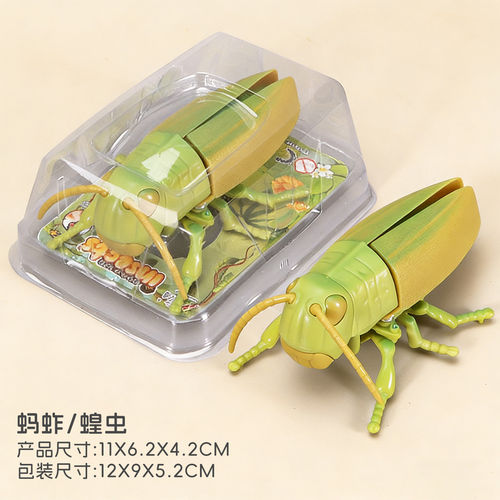 发条甲虫玩具昆虫甲壳虫仿真动物独角仙瓢虫知了模型男孩儿童女孩 - 图3