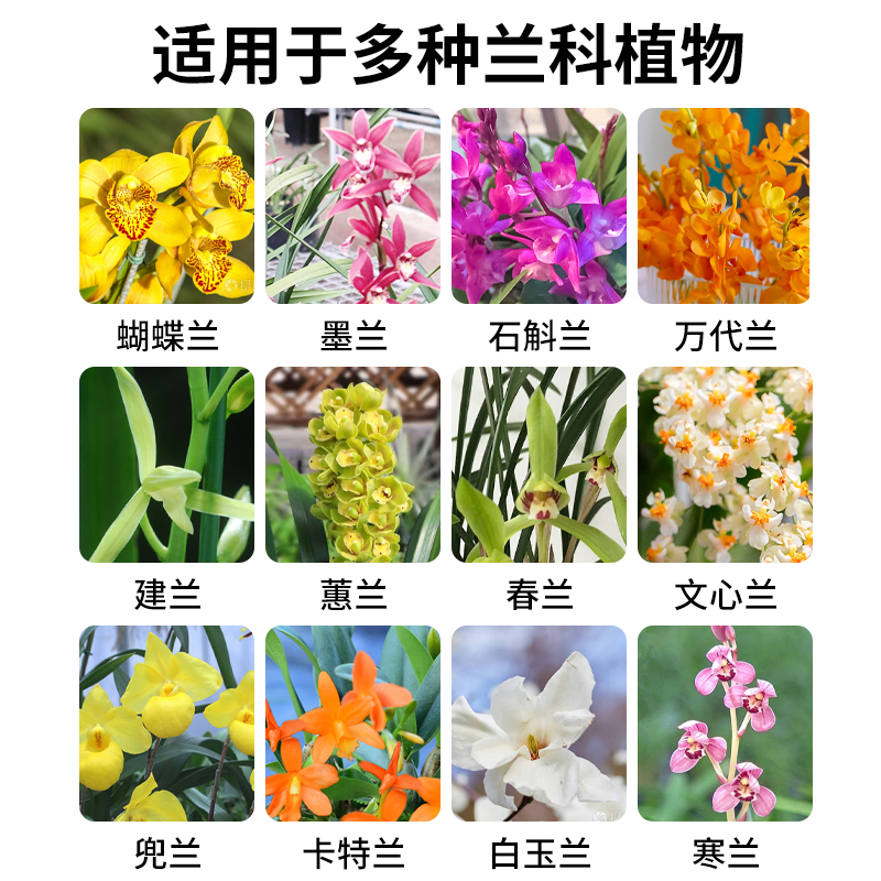 兰灵王兰花专用营养液肥料em菌营养液兰陵王促花君子兰蝴蝶兰菌王 - 图0