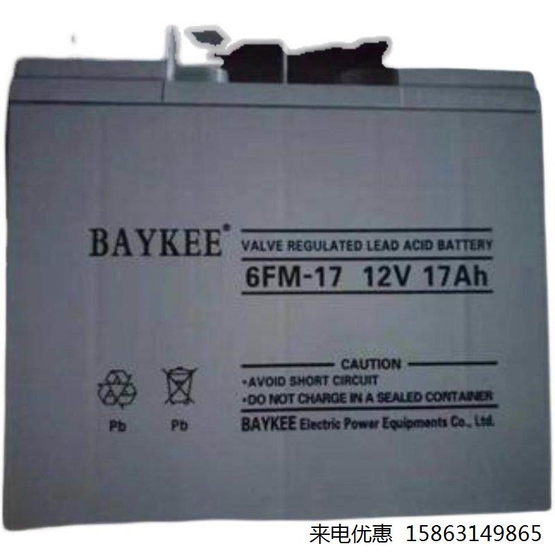 柏克BAYKEE铅酸蓄电池6FM65 12v65ah直流屏UPS电源后备储能应急用 - 图2