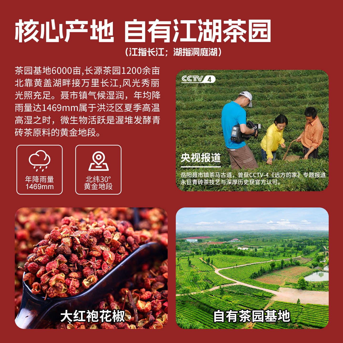 永巨花椒青砖岳阳椒子茶无仓味甜醇辛香养生黑茶叶湖南老字号特产,淘宝优惠券,粉丝福利购,淘宝优惠卷