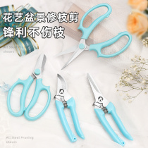 Floral scissors flowers trimming floral floral cutting garden art Tools Stainless steel Flowers Flowers Flower flower Shop Private Spurs