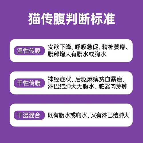 猫传腹特效针消腹水发烧肠炎干湿性猫冠状传染性腹膜炎fipv治疗药 - 图2