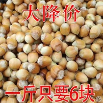 23 Years Green Leather Great Hazelnut Water Rinn Water Pulp Green Leather Wild Mountain Rare hazelnut freshly fried cooked raw hazelnut spot