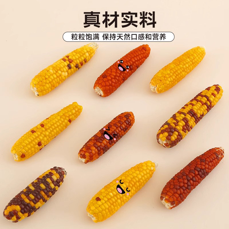 仓鼠零食小玉米粮磨牙棒金丝熊花枝鼠蜜袋鼯荷兰猪龙猫金丝熊食物,淘宝优惠券,粉丝福利购,淘宝优惠卷