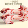 Air-dried beef bone teething stick