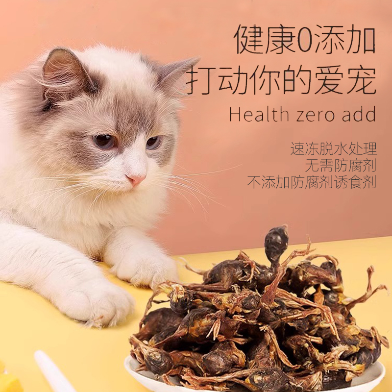 鹌鹑冻干鹌鹑猫粮冻干猫零食增肥发腮主食营养生骨肉磨牙猫咪罐头-图1