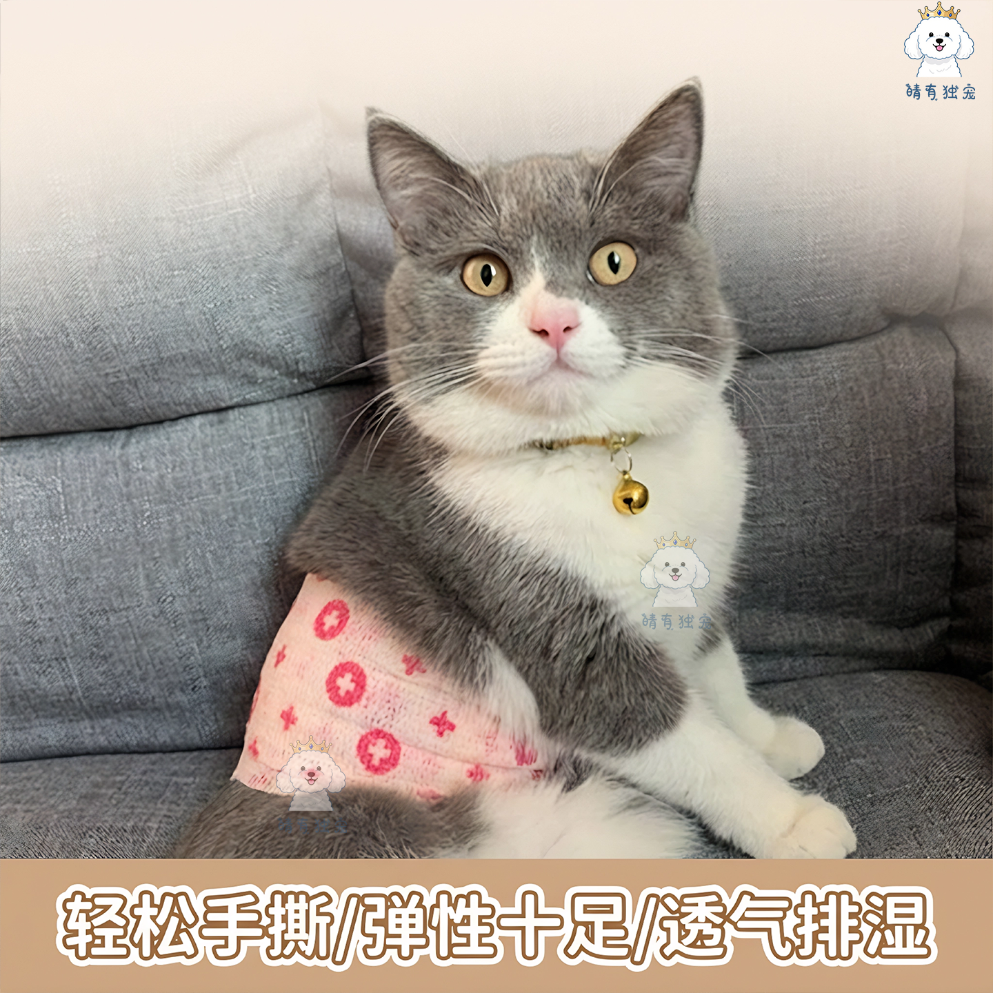 宠物弹力透气绷带母狗绝育神器医用术后康复断奶防舔母猫护肚衣服,淘宝优惠券,粉丝福利购,淘宝优惠卷