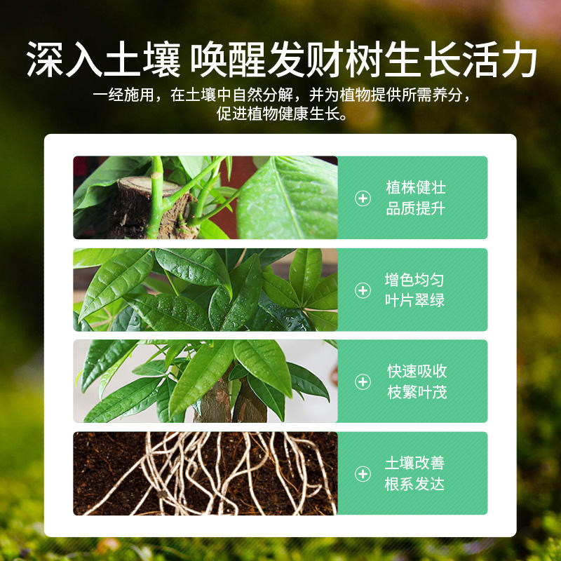 花奈儿发财树专用肥花肥盆栽家用通用型氮磷钾花卉植物颗粒缓释肥,淘宝优惠券,粉丝福利购,淘宝优惠卷