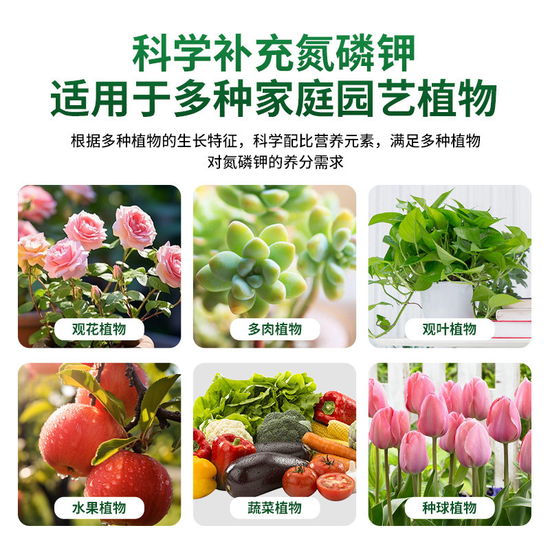 植物营养液通用型花肥家用盆栽发财树富贵竹绿萝水培花卉绿植肥料,淘宝优惠券,粉丝福利购,淘宝优惠卷