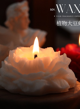 小众高级感山茶花香薰蜡烛SPA样品间卧室摆件生日礼物伴手礼送人