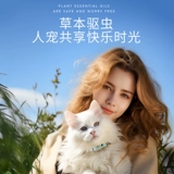 Собака -собака переоборудованная воротничка сняла кошки клещей, снимающие блохи, чтобы удалить вши и клещи, блохи, лекарства от шеи.