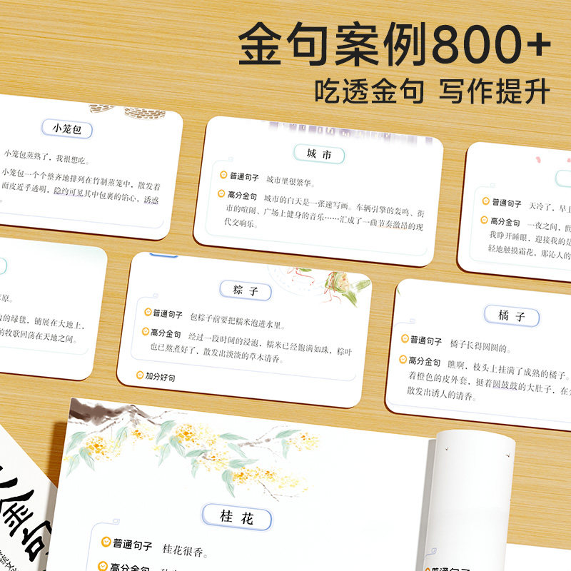 时光学作文金句800例高分作文素材范文优美句子积累大全小学三四五六年级高分作文写作技巧仿写句子专项强化练习每日一练场景写作