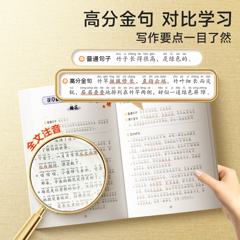 时光学作文金句800例高分作文素材范文优美句子积累大全小学三四五六年级高分作文写作技巧仿写句子专项强化练习每日一练场景写作