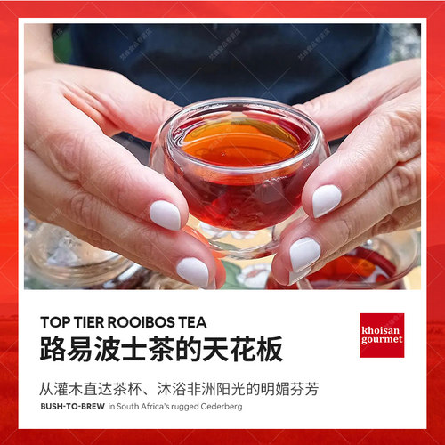 南非路易波士茶博士红茶 rooibos tea线叶金雀花养生无咖啡因绿茶-图1