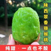 Shaanxi Zhou to Cuxiche Exotic Fruit Brow County Xu Fragrant Green Heart Mass Mud Monkey Peach When Season Fruit Chieca Fruits 5 Catty Fruits