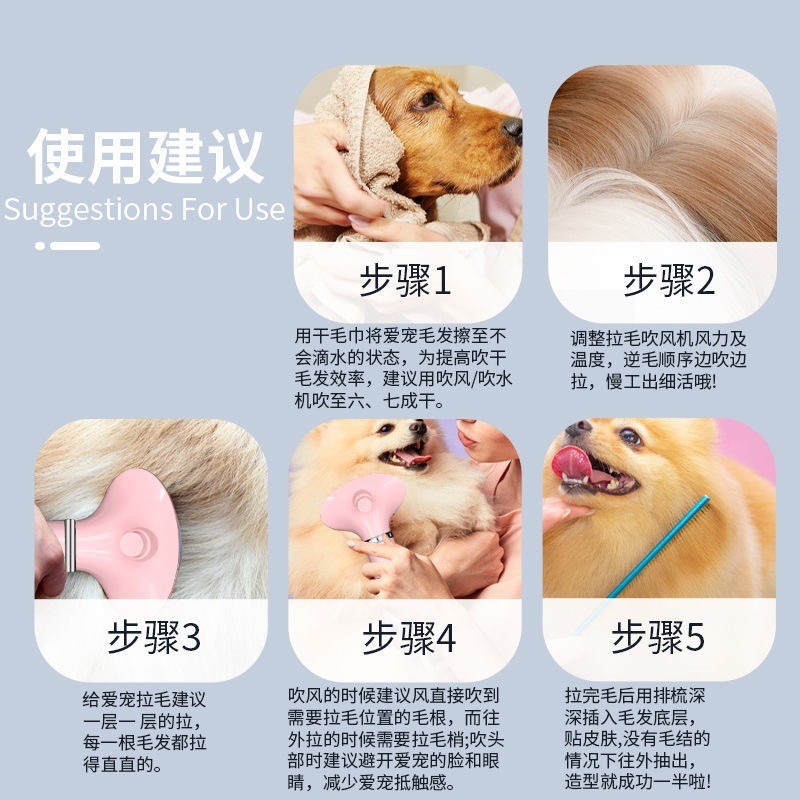 宠物吹风拉毛机狗狗猫咪吹风拉毛一体小型犬猫咪洗澡专用梳烘干机