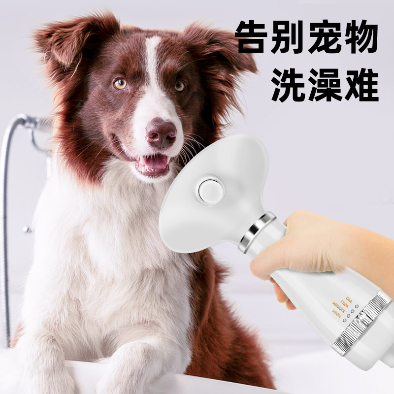宠物吹风机拉毛一体机家用小狗吹水机大型犬狗狗洗澡烘干吹毛神器
