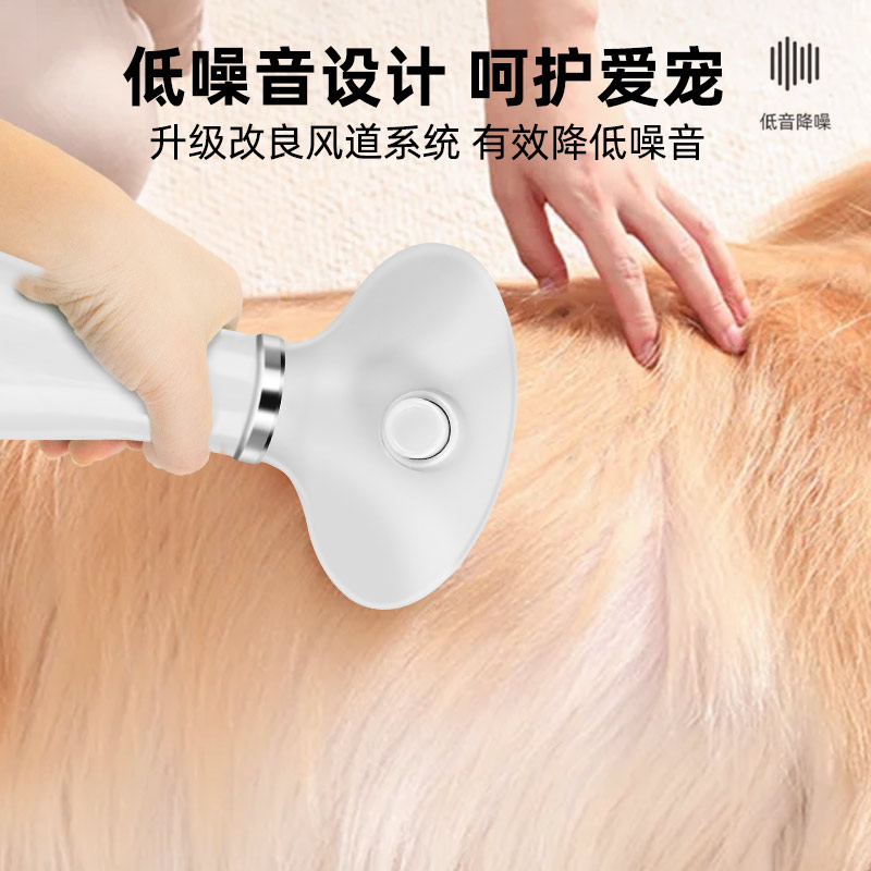 宠物吹风机拉毛一体机家用小狗吹水机大型犬狗狗洗澡烘干吹毛神器