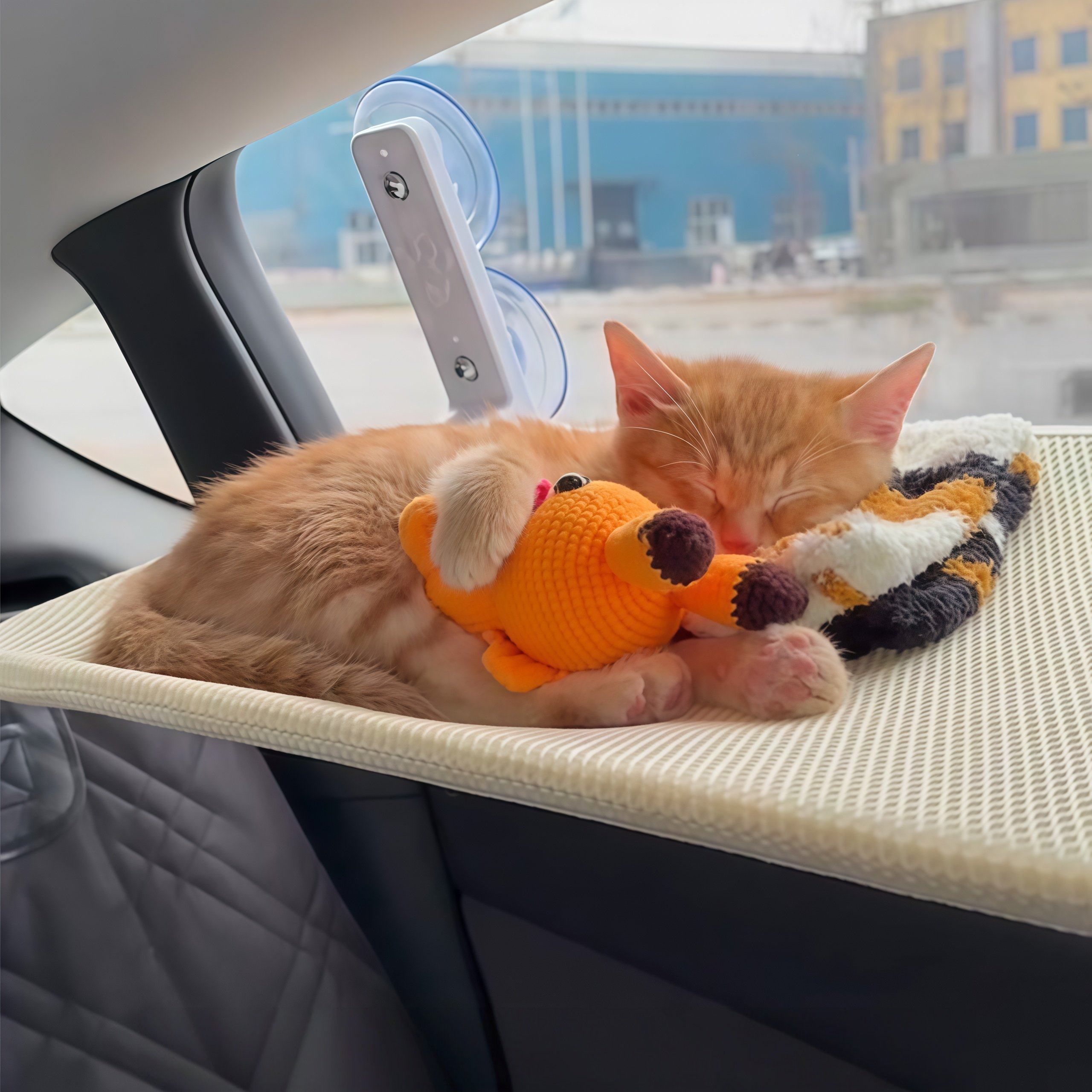 宠物车载窝车窗吸盘吊床外出专用可折叠便携玻璃睡垫猫咪窝车载床,淘宝优惠券,粉丝福利购,淘宝优惠卷