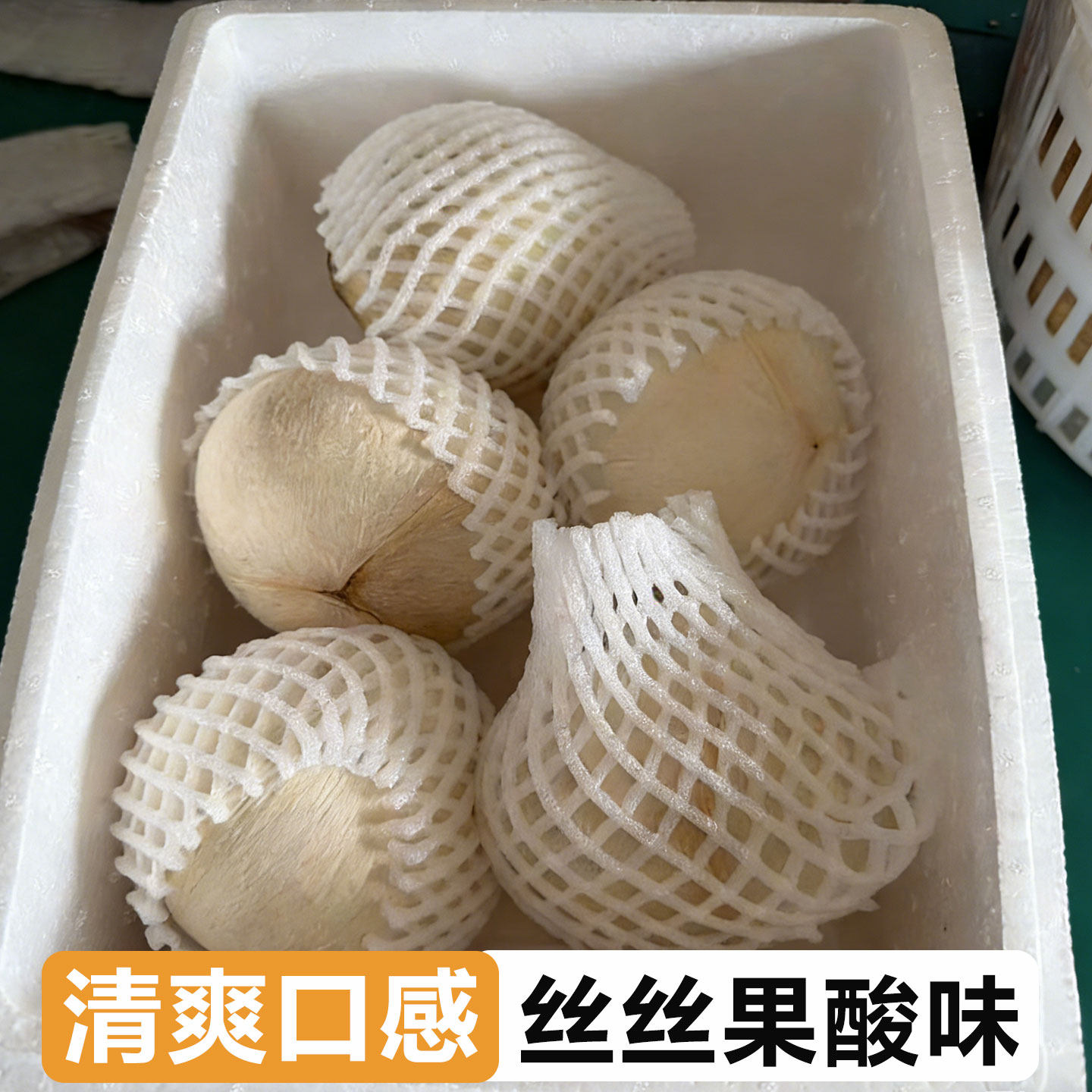 海南三亚牛奶椰皇大果新鲜现摘孕妇水果椰子蛋奶香水白椰青爽口感,淘宝优惠券,粉丝福利购,淘宝优惠卷