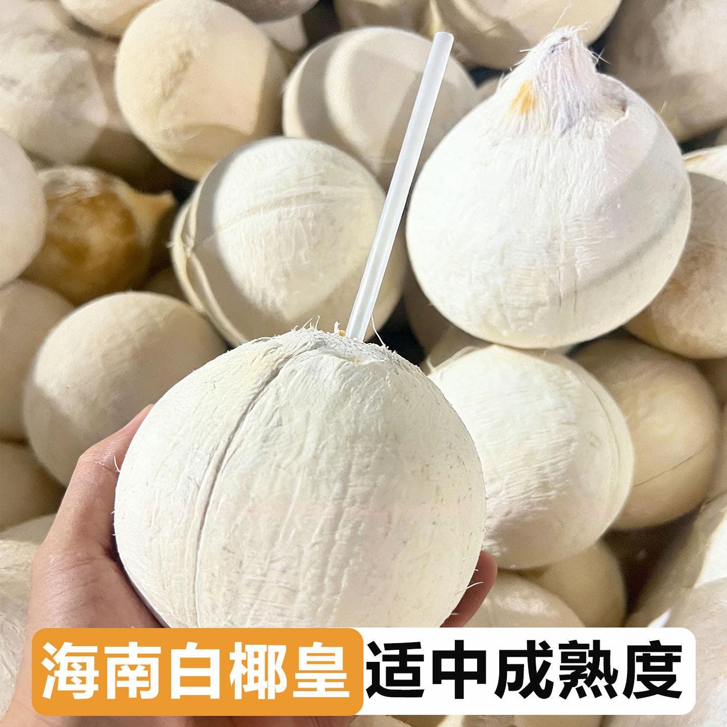 海南三亚牛奶椰皇大果新鲜现摘孕妇水果椰子蛋奶香水白椰青爽口感,淘宝优惠券,粉丝福利购,淘宝优惠卷
