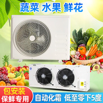 Freezer Full Range Equipment Fruit Large Freezer Polyurethane Depot Plate Refrigeration Preservation Depot Customised All Types Freezer