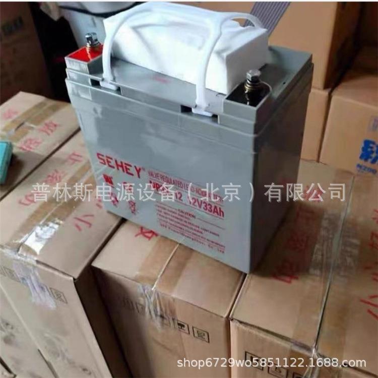 SEHEY12V33AH蓄电池NP33-12太阳能UPS直流屏蓄电池 现货 - 图1