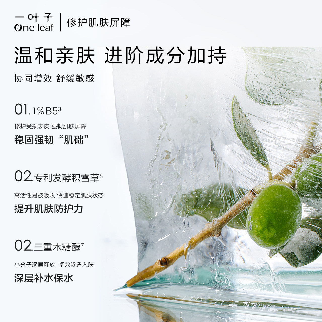 一叶子双修次抛精华保湿b5油橄榄 一叶子小白兔面部护理套装