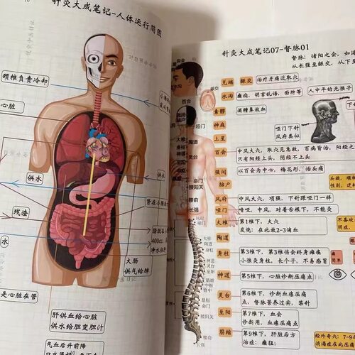 倪海厦课程学习针灸大成神农伤寒内经金匱课程学习彩色图文笔记本 - 图0