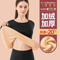 Slim Silk Bird Warm Lingerie Lady Plus Suede Thickened heat inside wearing blouses undershirt autumntyjacket and autumn pants suit winter