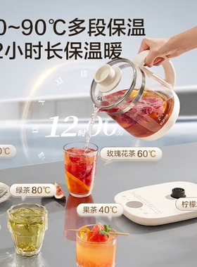 苏泊尔养生壶2026新款炖煮一体办公室小型家用保温杯煮茶器烧水壶